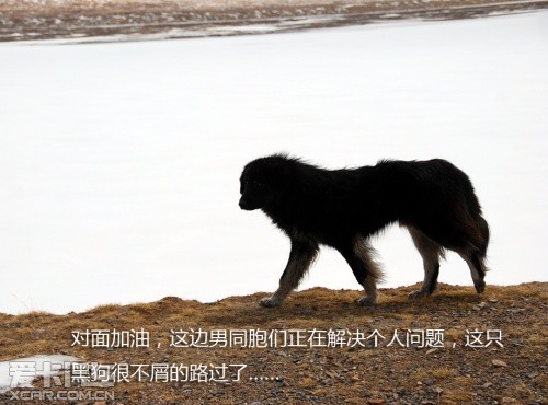 路虎发现24小时 拉萨-敦煌