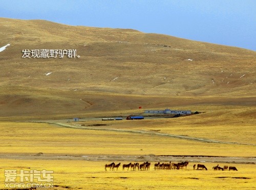 路虎发现24小时 拉萨-敦煌