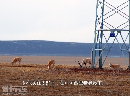 路虎发现24小时 拉萨-敦煌