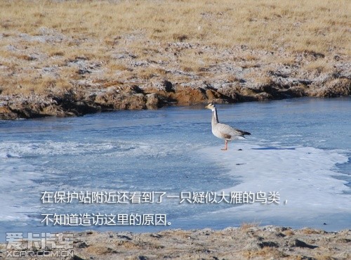 路虎发现24小时 拉萨-敦煌