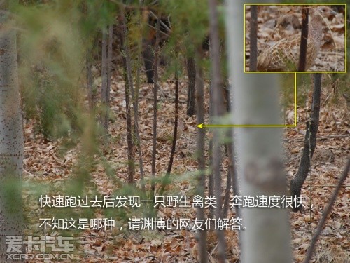 路虎发现24小时 拉萨-敦煌