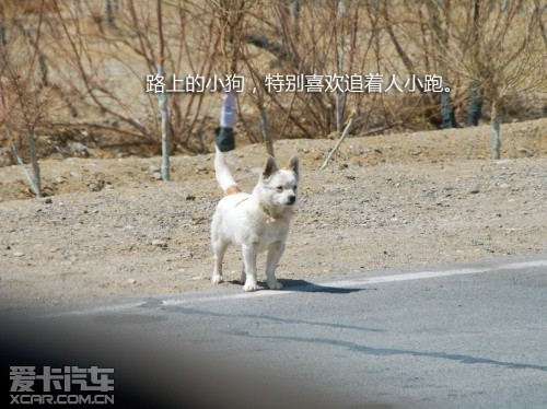 路虎发现24小时 拉萨-敦煌