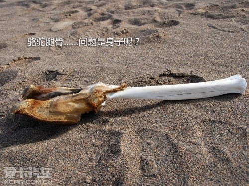 路虎发现24小时 拉萨-敦煌