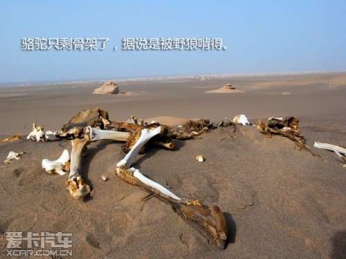 路虎发现24小时 拉萨-敦煌