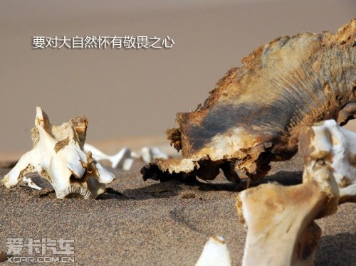 路虎发现24小时 拉萨-敦煌