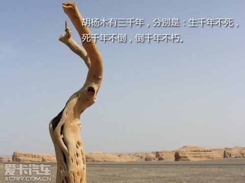 路虎发现24小时 拉萨-敦煌