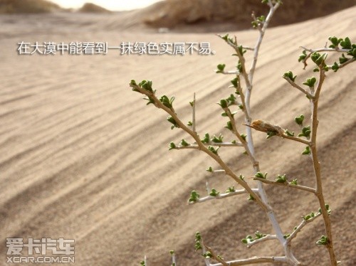 路虎发现24小时 拉萨-敦煌