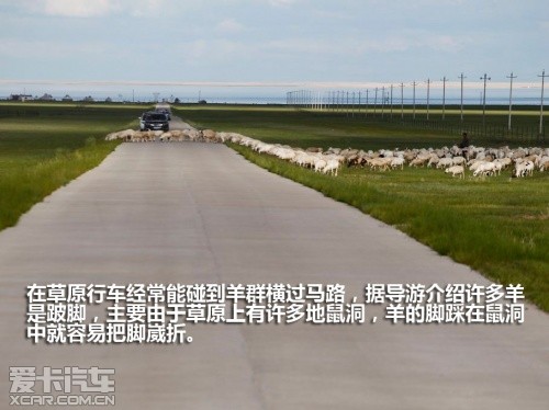 东风日产 2011款楼兰