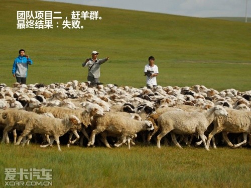 东风日产 2011款楼兰
