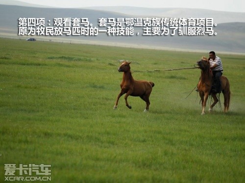 东风日产 2011款楼兰