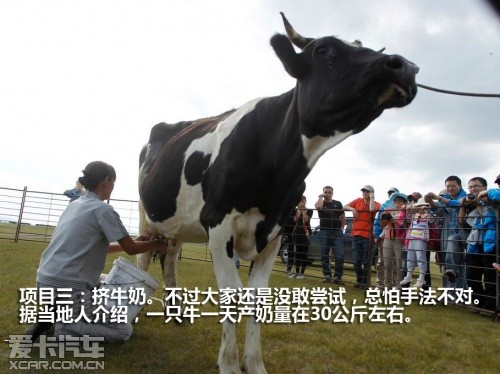 东风日产 2011款楼兰