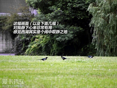 奥迪 2009款奥迪Q5