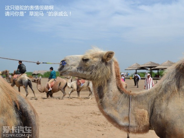 月亮湖沙漠游记