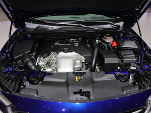 2019�����GS �Ϻ�܇չ