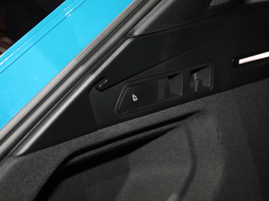 2020We-tron(M) Ϻ܇չ