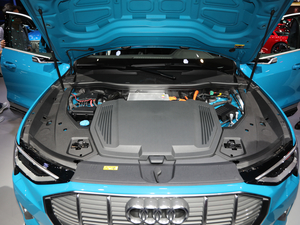 2020We-tron(M) Ϻ܇չ