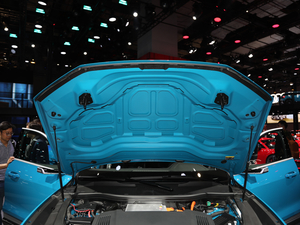 2020We-tron(M) Ϻ܇չ