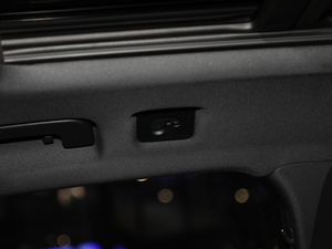 2020We-tron(M) Ϻ܇չ