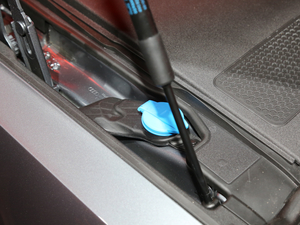 2019��W��A8 �Ϻ�܇չ