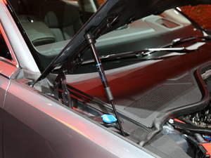 2019��W��A8 �Ϻ�܇չ