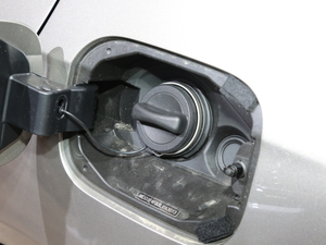 2019YA(M(jn)) Ϻ܇չ