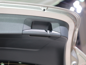 2019YA(M(jn)) Ϻ܇չ