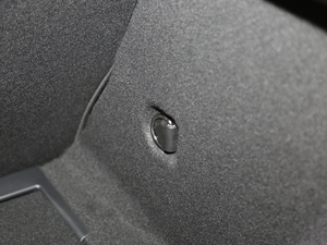 2019YA(M(jn)) Ϻ܇չ