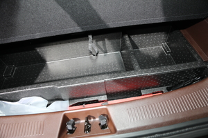 2019��C��CS9 EV �Ϻ�܇չ