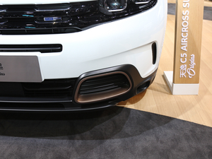 2019 C5 AIRCROSS Ϻ܇չ