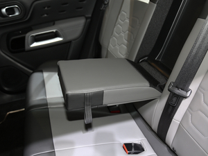 2019 C5 AIRCROSS Ϻ܇(ch)չ