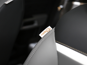 2019 C5 AIRCROSS Ϻ܇(ch)չ