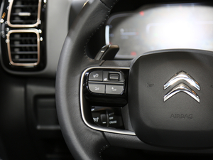 2019 C5 AIRCROSS Ϻ܇չ