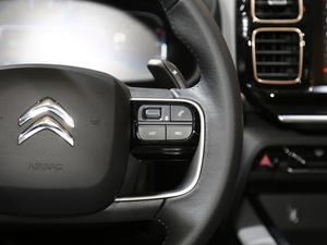 2019 C5 AIRCROSS Ϻ܇չ