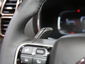 2019 C5 AIRCROSS Ϻ܇չ