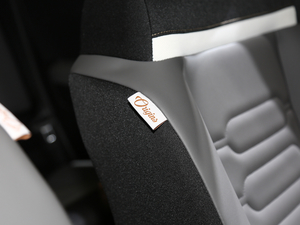 2020 C4 AIRCROSS Ϻ܇(ch)չ