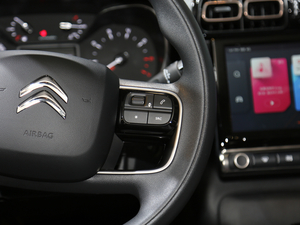 2020 C4 AIRCROSS Ϻ܇չ