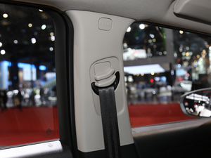 2020 C4 AIRCROSS Ϻ܇չ