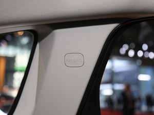 2020 C4 AIRCROSS Ϻ܇չ