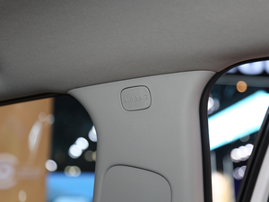 2020 C4 AIRCROSS Ϻ܇չ