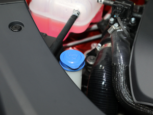 2020LCS75 PLUS Ϻ܇չ