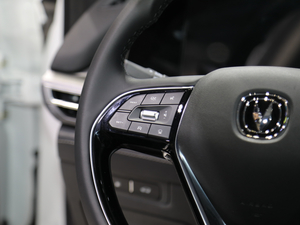 2020LCS75 PLUS Ϻ܇չ