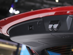 2020LCS75 PLUS Ϻ܇չ