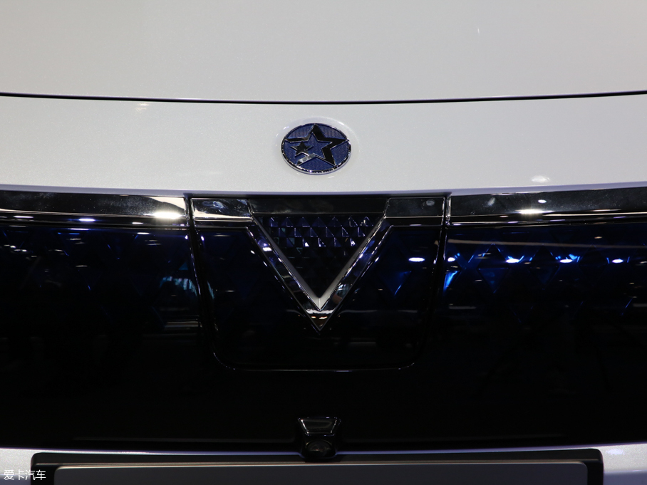 2019���D60EV 