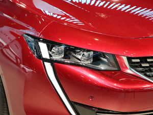 2019(bio)508L Ϻ܇չ