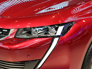 2019(bio)508L Ϻ܇չ