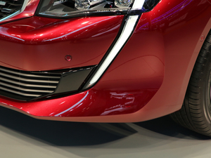 2019(bio)508L Ϻ܇չ