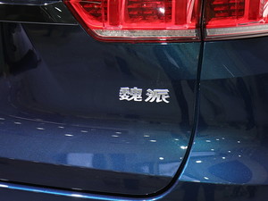 2020κ VV7-PHEV Ϻ܇չ