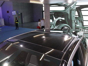 2019Ri3(M) Ϻ܇չ