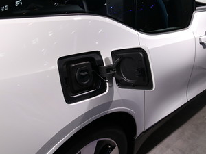 2019Ri3(M) Ϻ܇չ