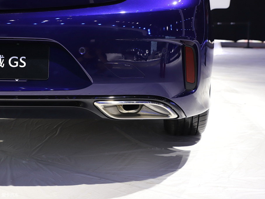 2019GS 